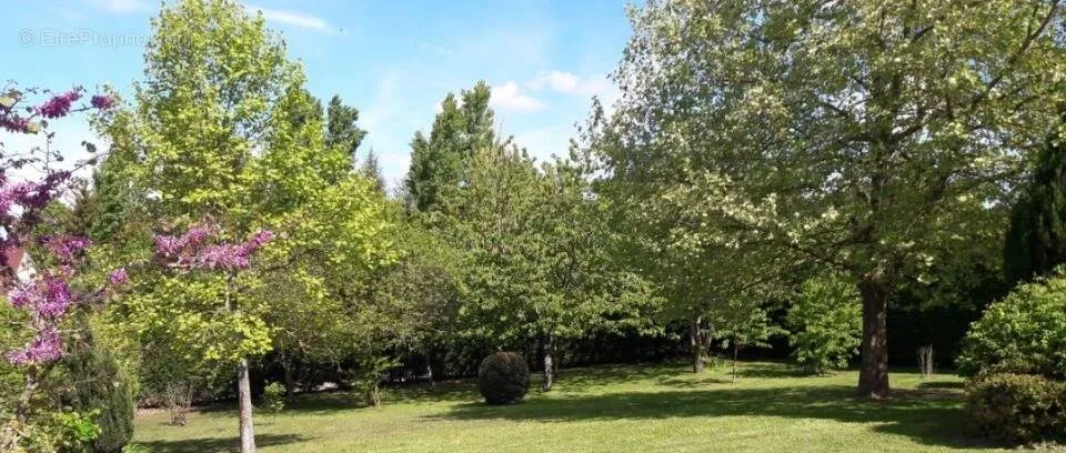 Terrain à Saint-Germain-Sur-Morin