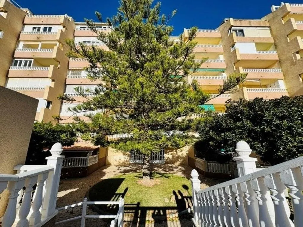Toad - Penthouse with Pool in Torrevieja