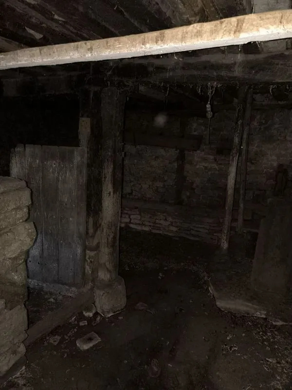 cellar