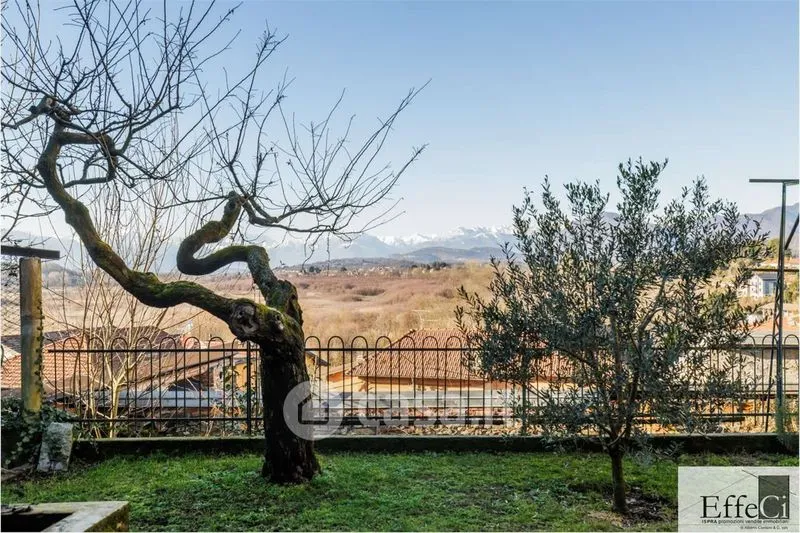 Jardin - Panoramic Villa with Lake View in Biandronno