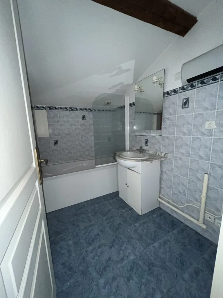 Vannitoad - Loft with Kitchen in Vienne