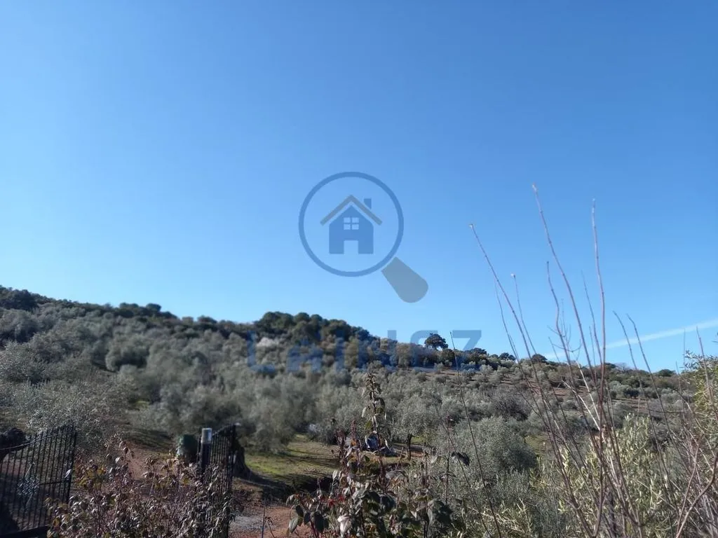 Jardin - Country House with Mountain Views in Villanueva del Rey