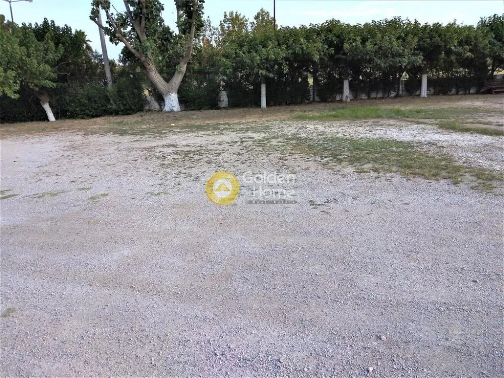 Jardin - Terrain constructible avec vue panoramique à Acharnes Menidi