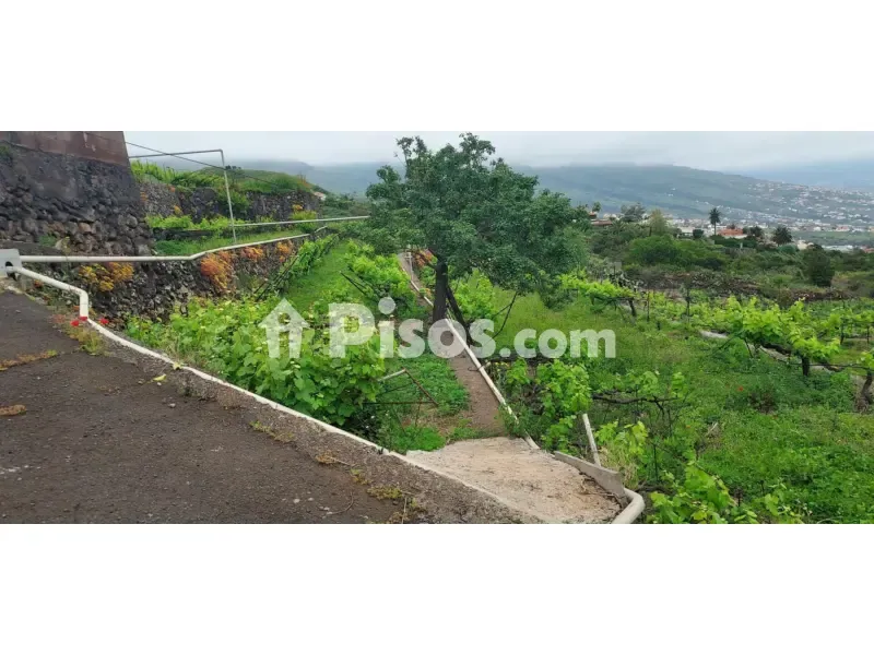 Aed - Rustic Farmhouse with Bodega near Calle Real