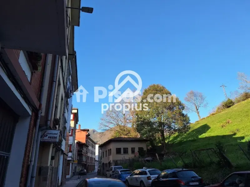 Extérieur - Reformed 2-Bed Flat with Terrace in Cangas de Onís