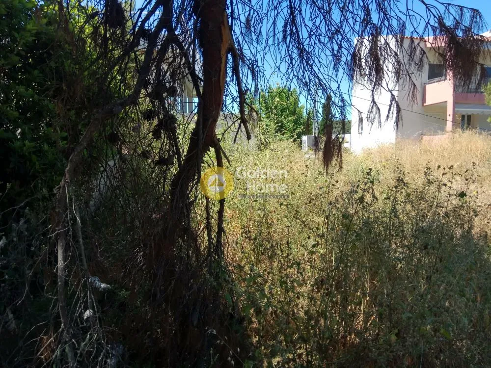 Garden - Semi-Detached House with Sea View in Rafina