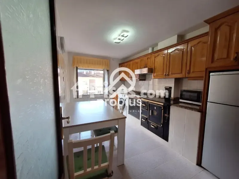 Cuisine - Reformed 2-Bed Flat with Terrace in Cangas de Onís