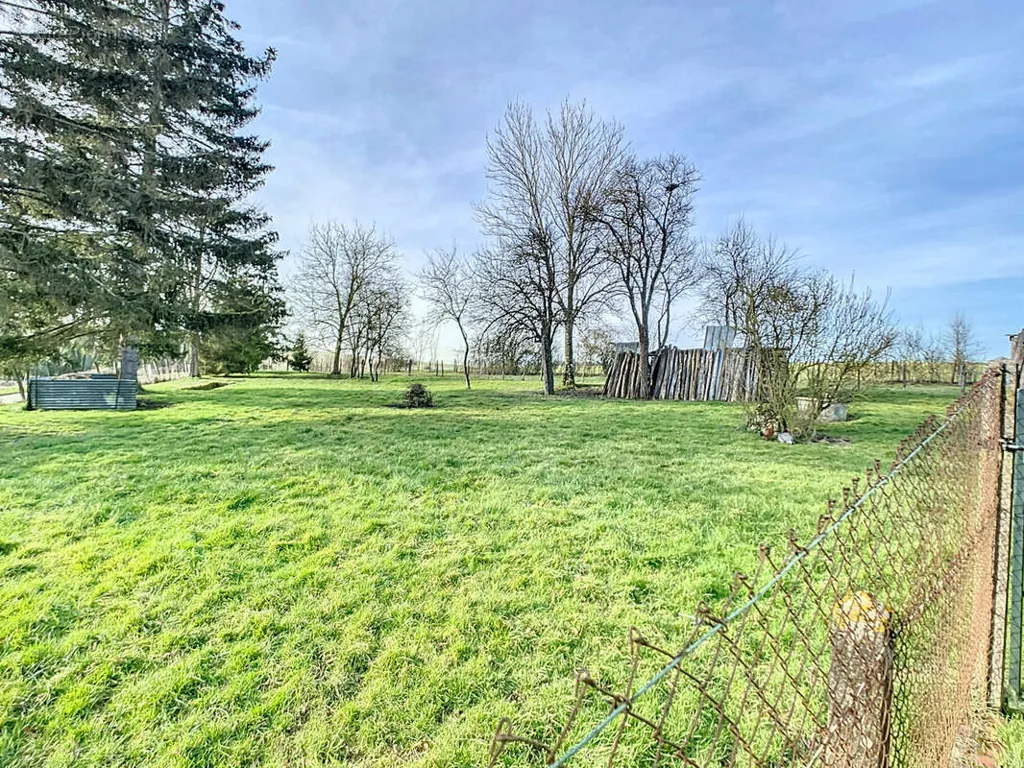 Garden - 6-room house in Viels-Maisons