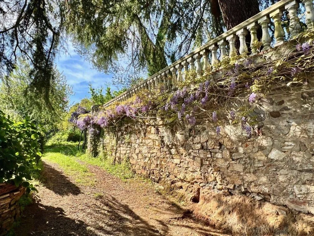 Jardin - Luxury Villa with Park View near Lucca