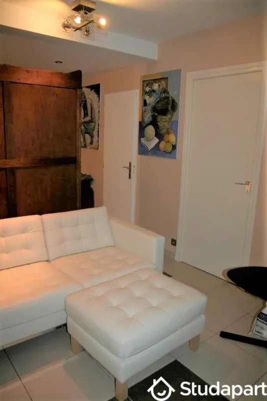 Séjour - Chambre en Colocation avec Vue sur Grenoble