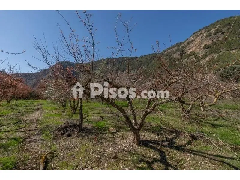 Giardino - Rustic Finca with Mountain View in Cónchar