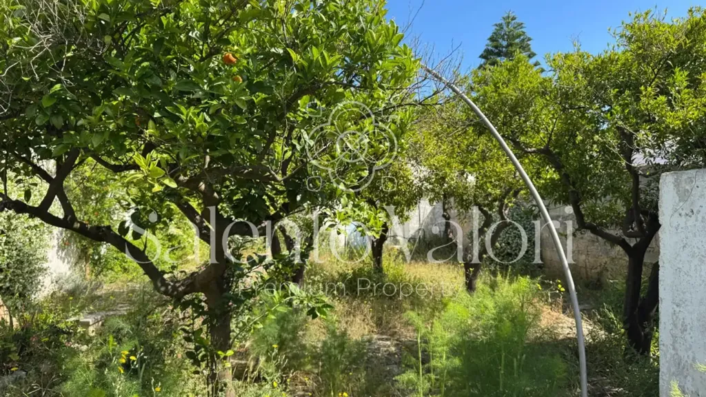 Jardin - Historic Villa with Garden in Taviano