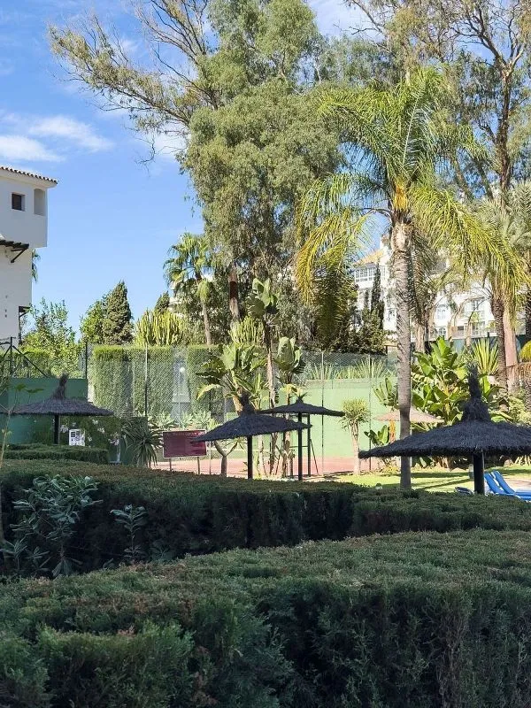Jardin - Penthouse with Pool in Casco Antiguo