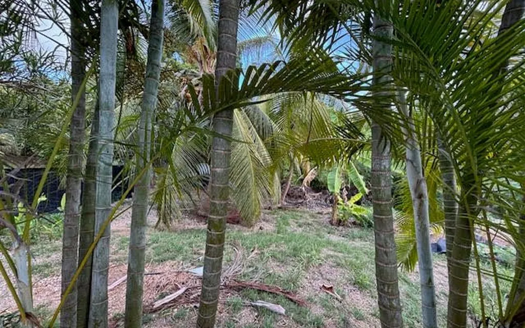 Jardin - Villa Meublée avec Piscine à Le Moule