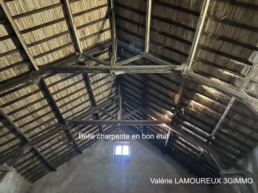 Toad - Equestrian Property with Large Garden in Aigueperse