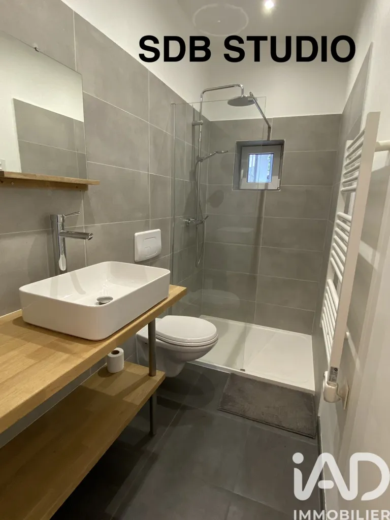 Vannitoad - House with Studio in Saint-Chamond