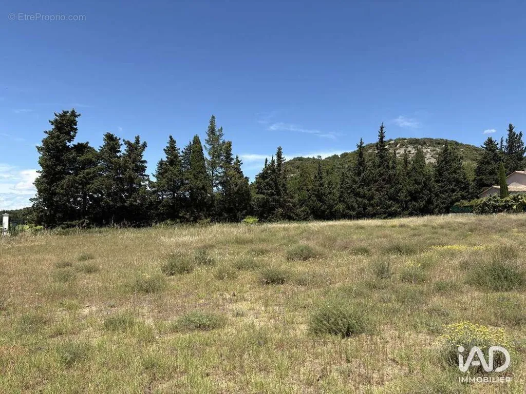 Jardin - Terrain Constructible Exposé Sud à Saint-Paul-Trois-Châteaux