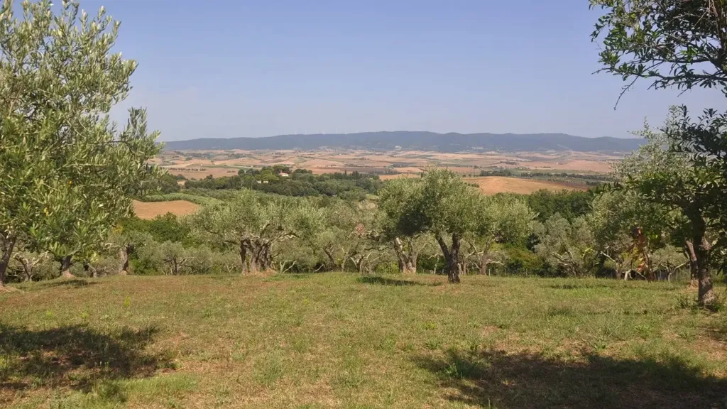 Jardin - Villa with 360° View in Rosignano Marittimo