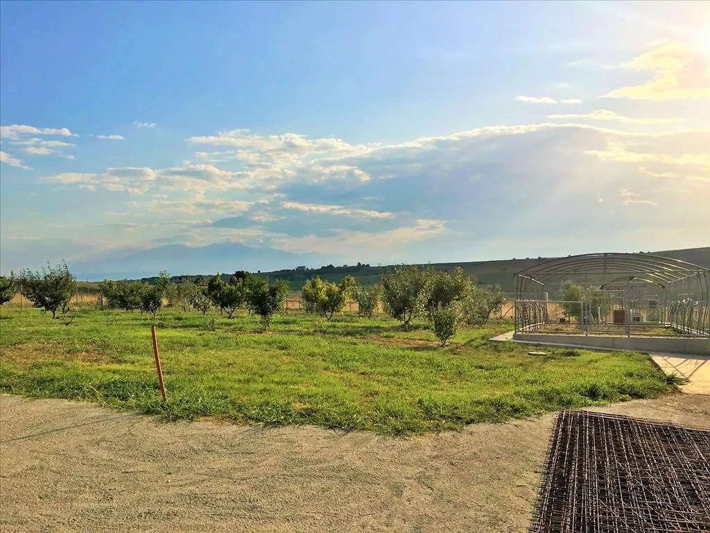 Jardin - Detached House with Panoramic Views in Thessaloniki Suburbs
