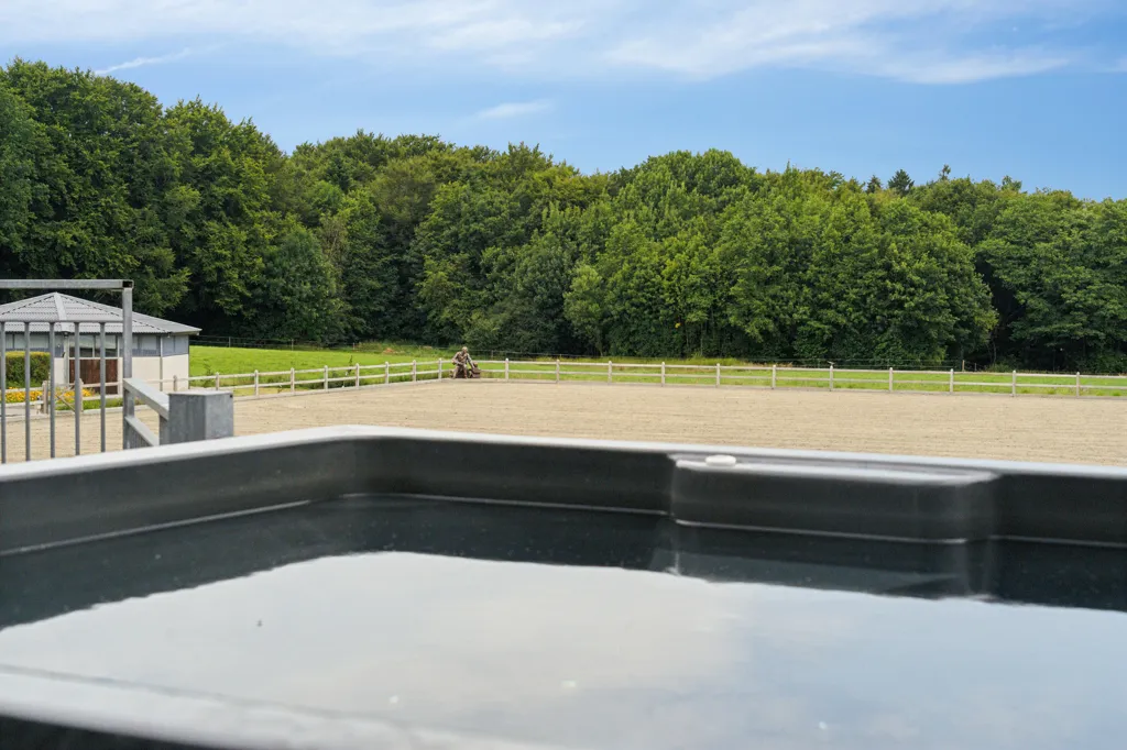 Piscine - Equestrian Estate with Spa in Vinding