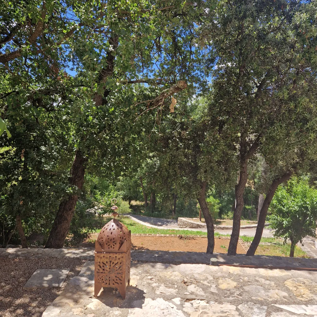 Provençal Villa with Pool near Lorgues