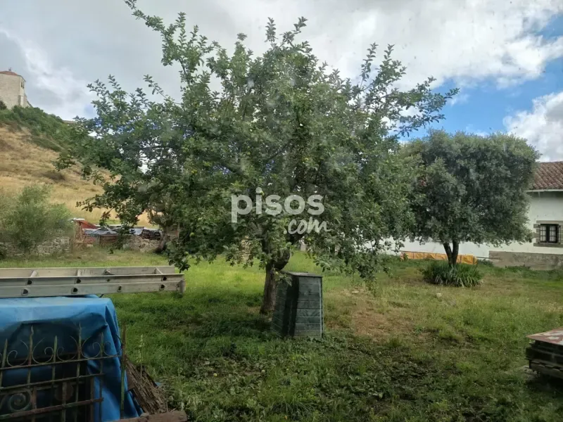 Garden - Palatial House with Garden in Larumbe