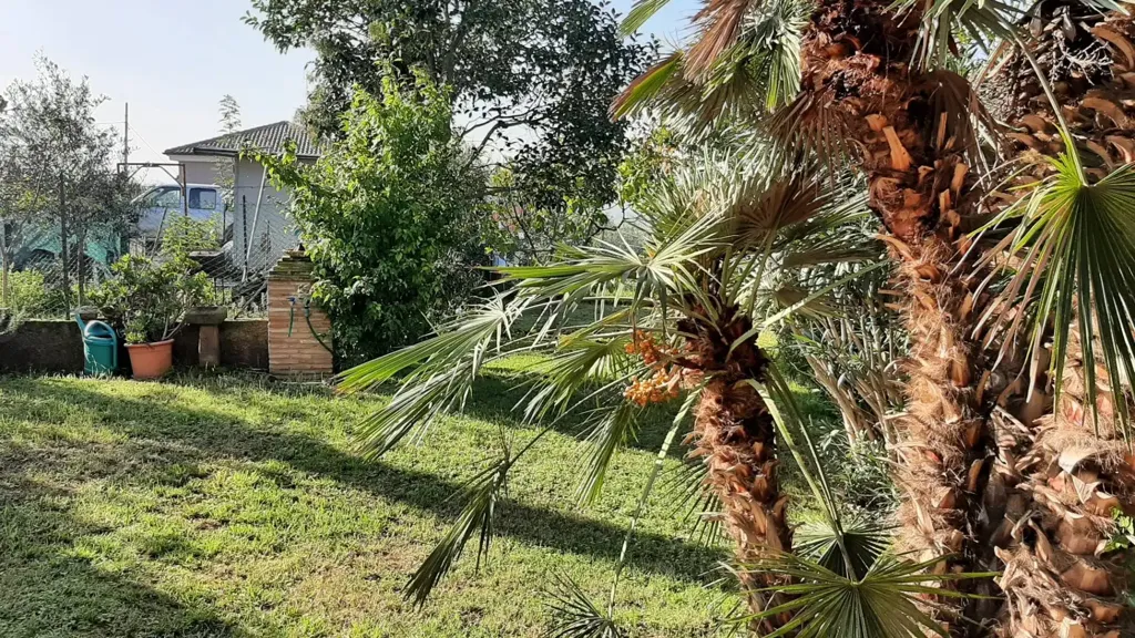Aed - Colonial House with Panoramic View in Carignano