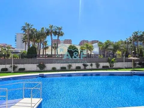Piscine - T2 Apartment with Pool in Marina d'Or
