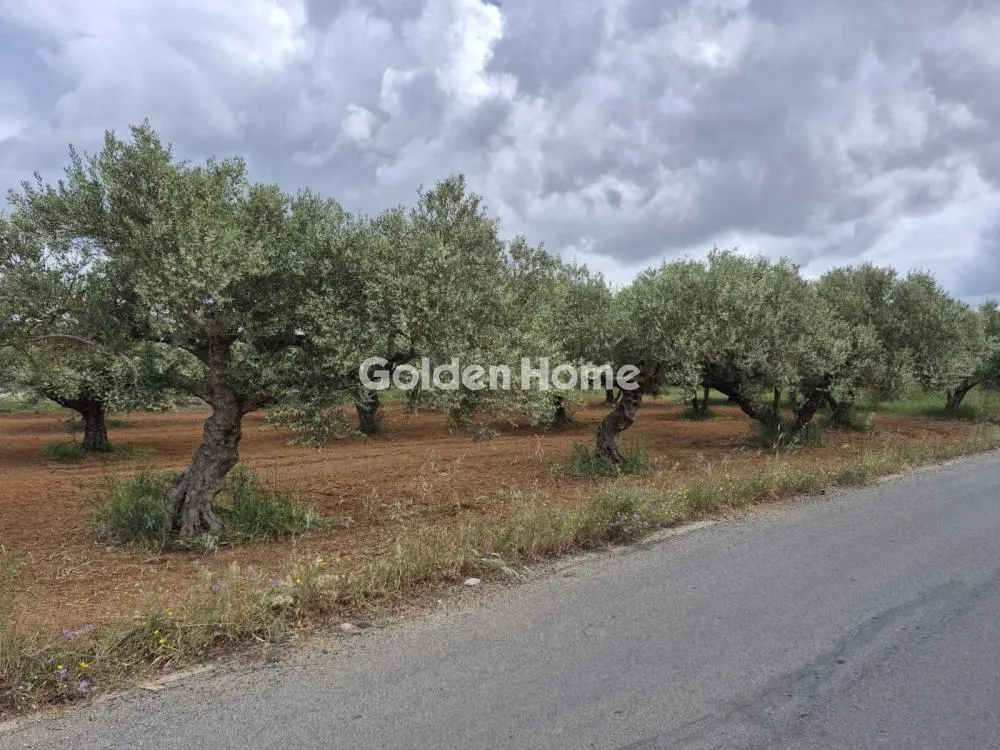 Aed - Buildable Plot with Airport Proximity in Minóa Pedíados