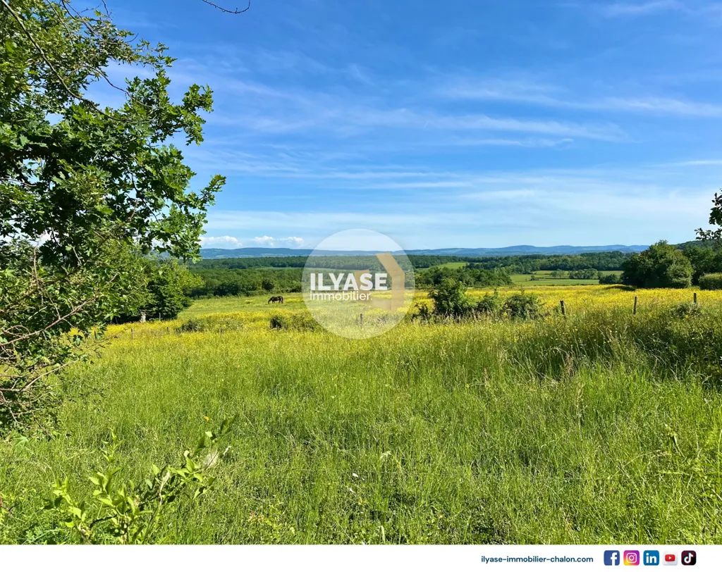Aed - Charming House with Garden in Jully-lès-Buxy