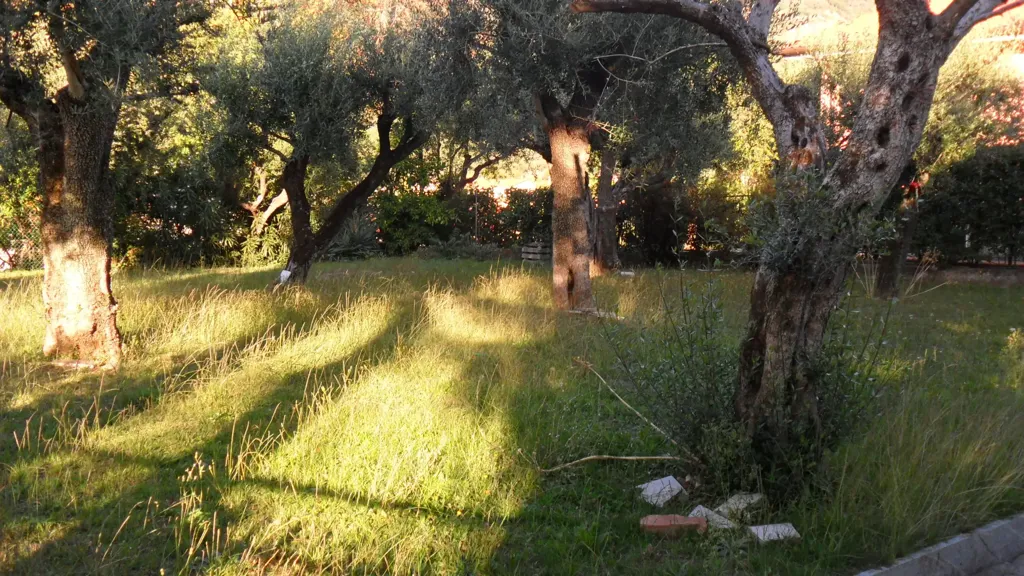 Aed - Villa with Garden in Seravezza
