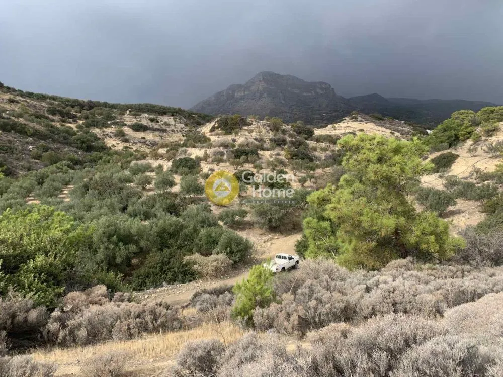 Aed - Agricultural Plot with Sea View in Arvi