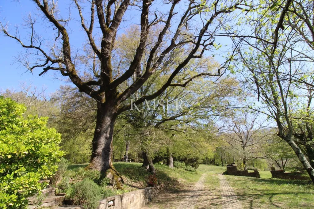 Jardin - Country House with Large Garden in Buzet
