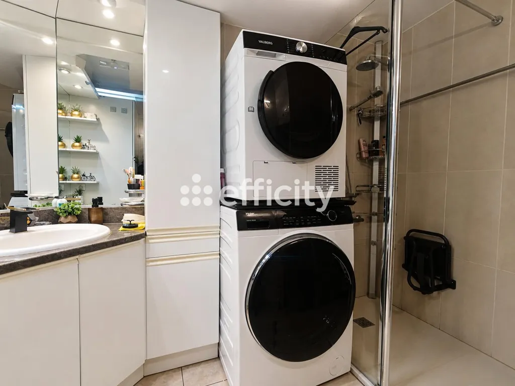 Utility Room - Renovated Apartment with Terrace in Echirolles