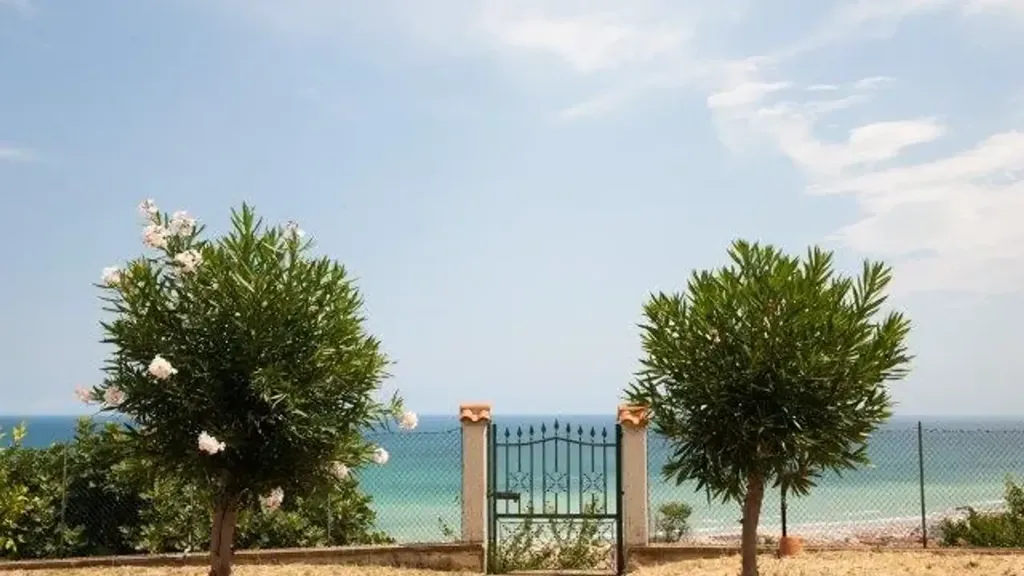 garden