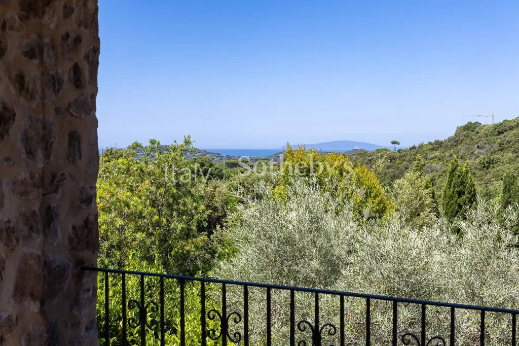 Terrasse - Rustic Villa with Pool in Castiglione della Pescaia