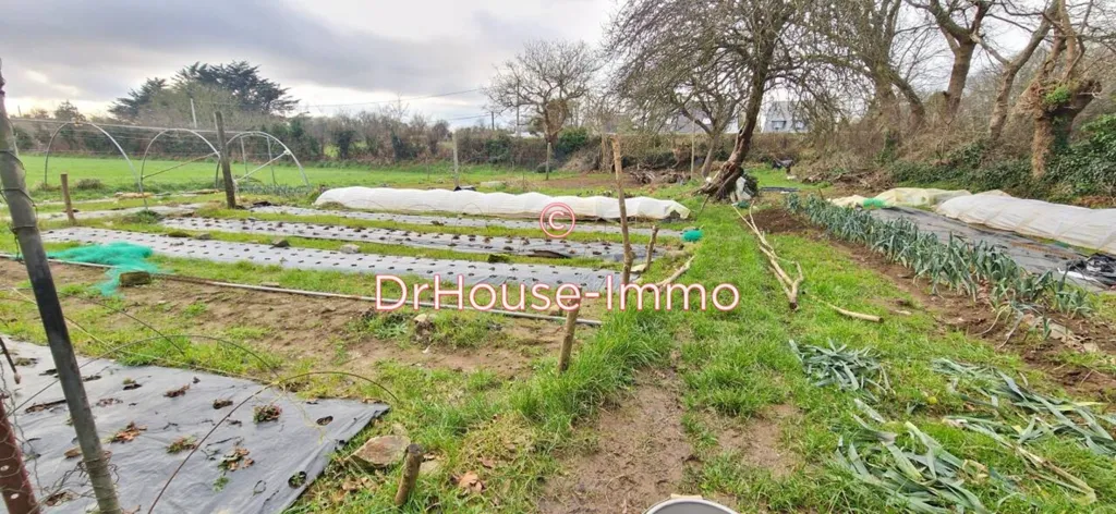 Jardin - Maison à Rénover avec Terrain à Guilers
