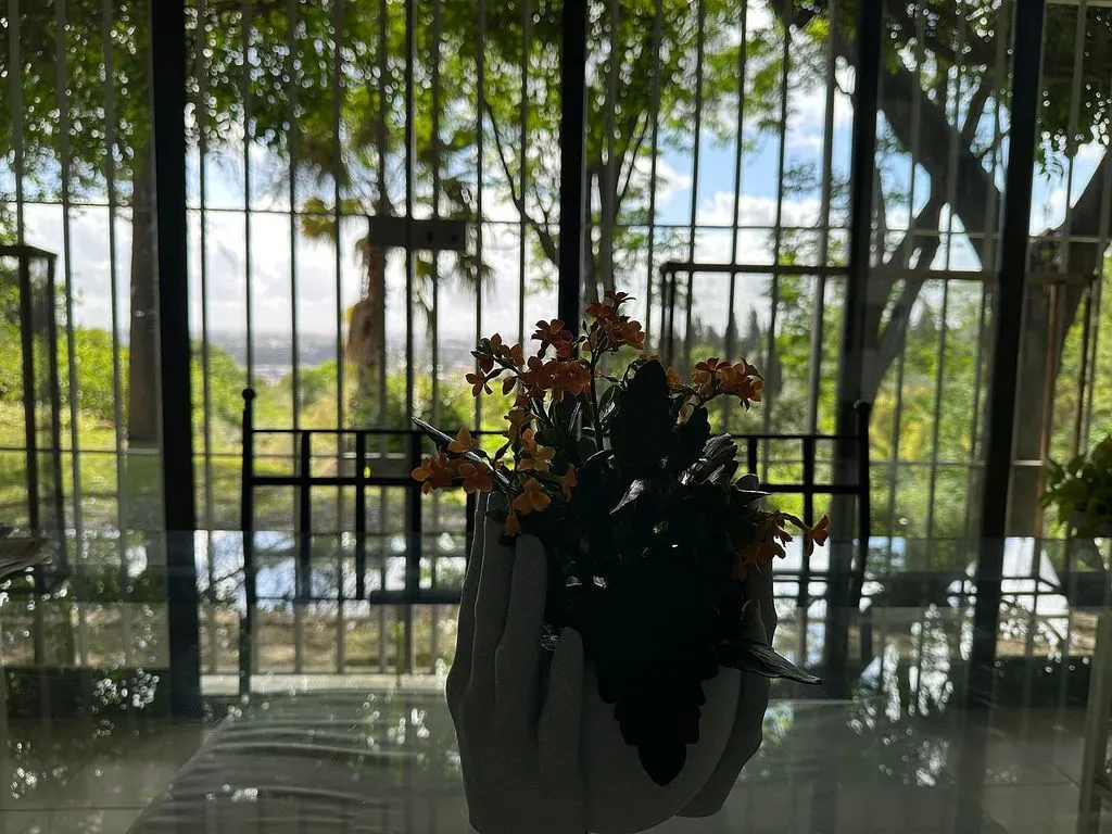 dining_room