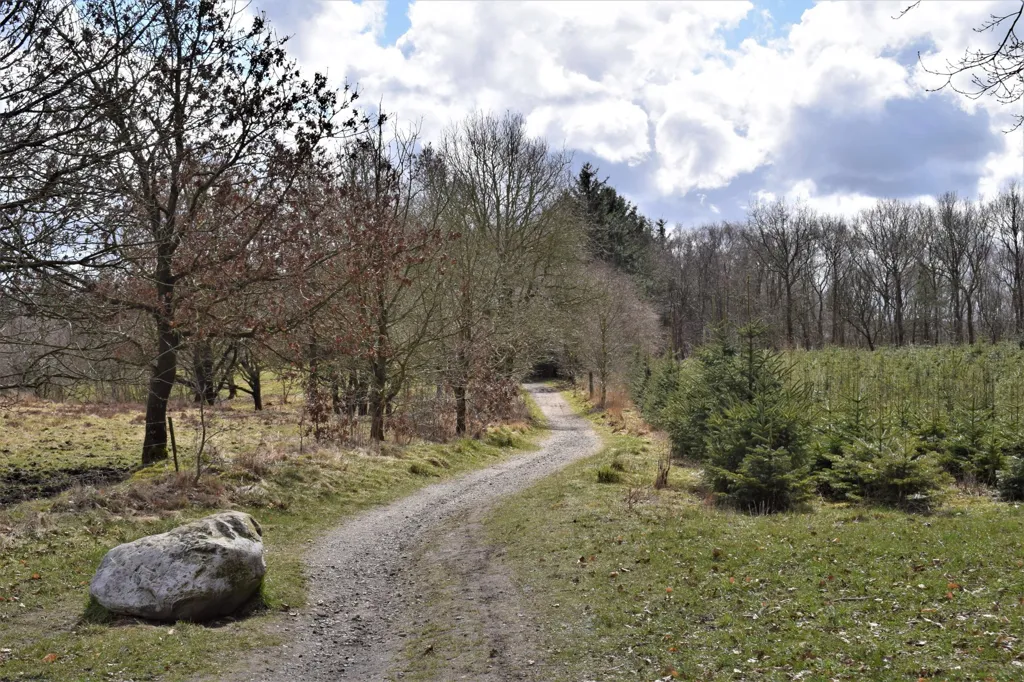 Garden - Building Land with Proximity to Amenities in Videbæk