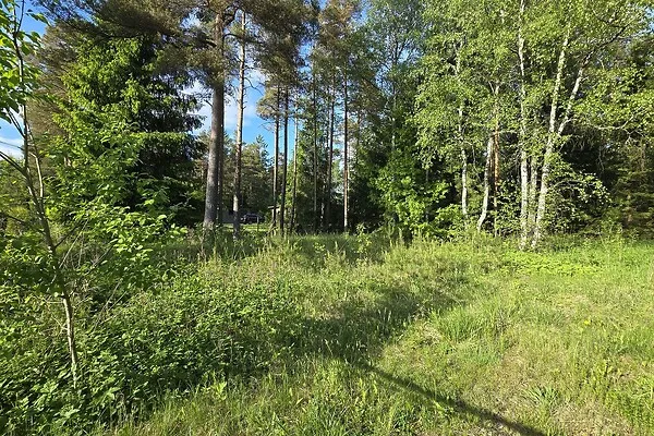 Aed - Country Plot with Forest Access in Koppelmaa