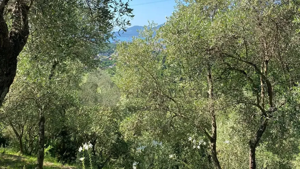 Aed - Villa with Sea View in Vezzano Ligure
