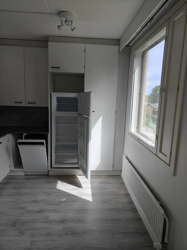 Köök - One-Bedroom Flat with Balcony in Harjavalta