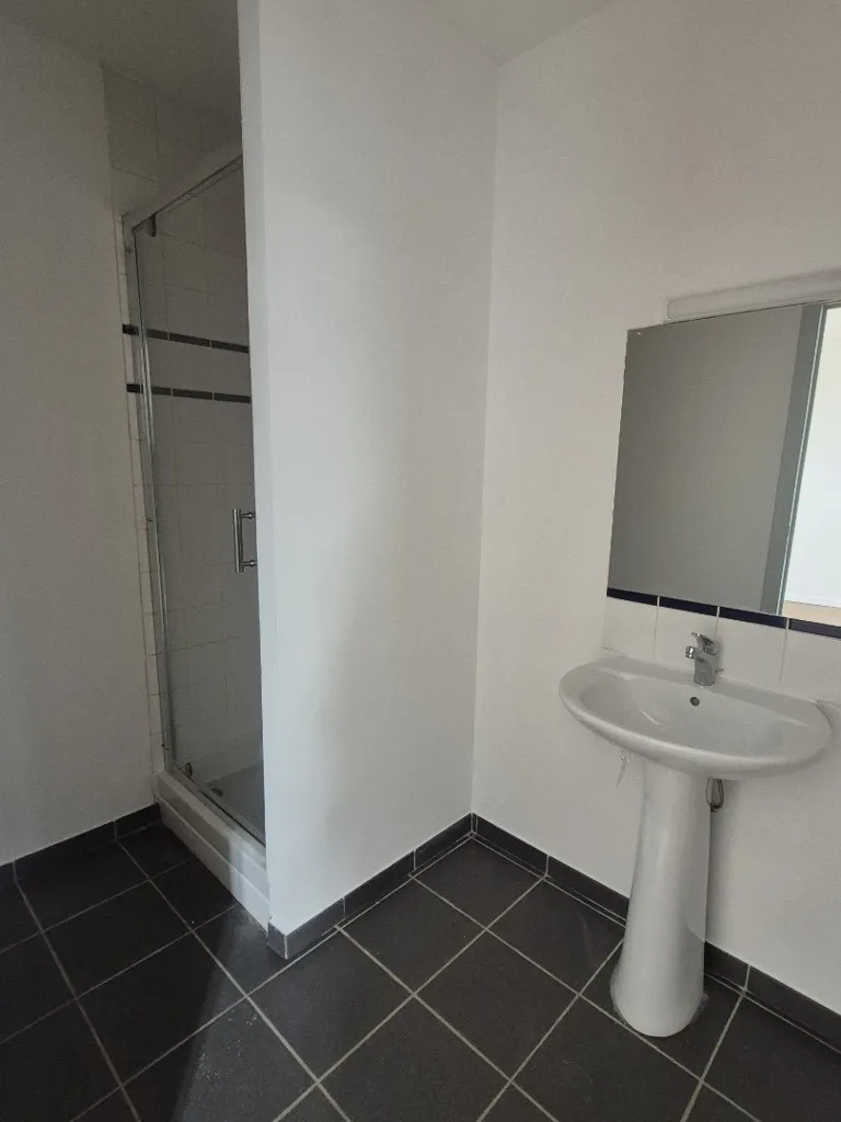 Salles de bain - Appartement T4 Lumineux en Centre-Ville