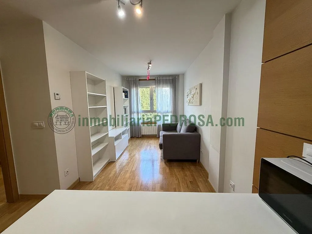 Séjour - Flat with Garage in La Seca - Los Salgueriños