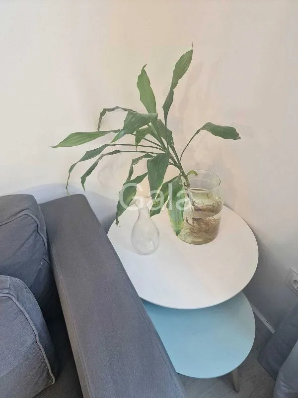 Elutuba - Modernised Flat with South Light in Trafalgar