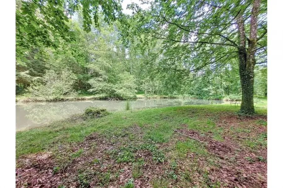 Aed - Wooded Plot with Ponds near Musson