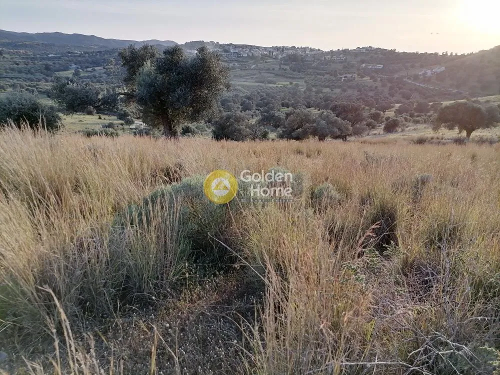 Aed - Agricultural Plot with Panoramic Views in Phaistos
