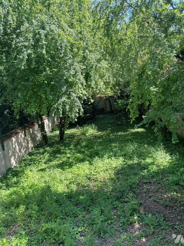 Jardin - Maison de maître avec jardin et terrasse à Nancy