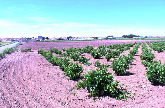 Aed - Land Parcel in Mesas, Cuenca