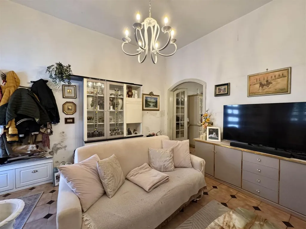Living Room - Terraced Villa with Lake View in Viareggio